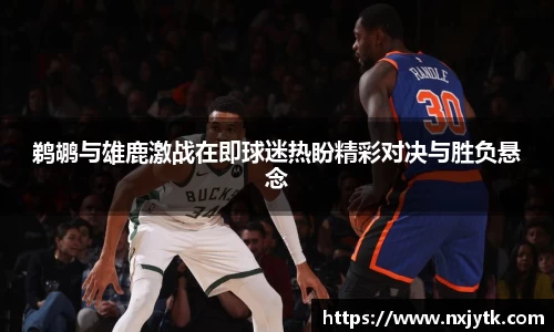 鹈鹕与雄鹿激战在即球迷热盼精彩对决与胜负悬念